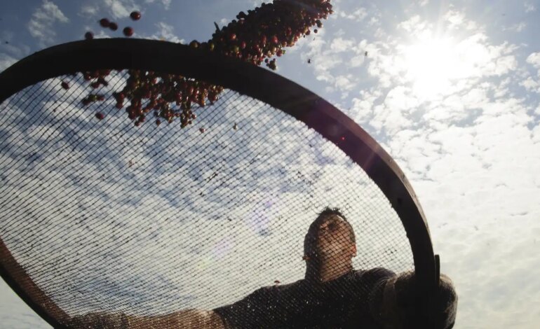 brasil-faz-acordo-com-china-que-pode-aumentar-exportacao-de-cafe