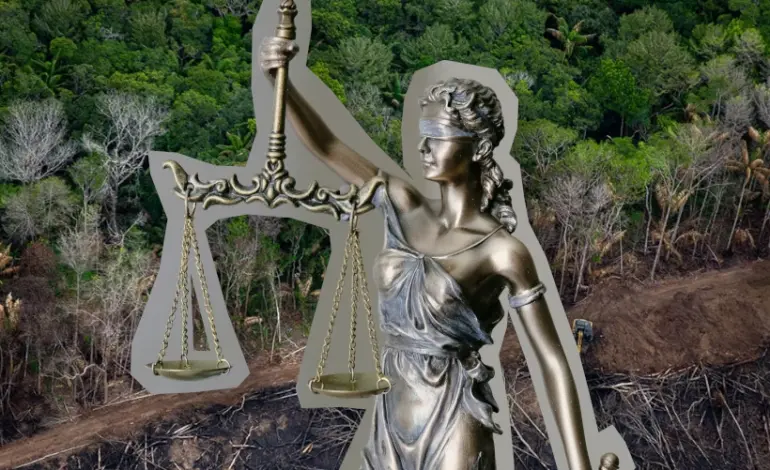 cnj-prepara-regulamentacao-para-casos-de-litigancia-climatica-no-brasil