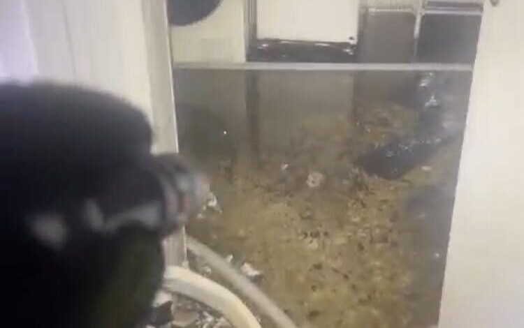 moradores-sao-evacuados-de-predio-apos-incendio-em-forro-destruir-apartamento;-video