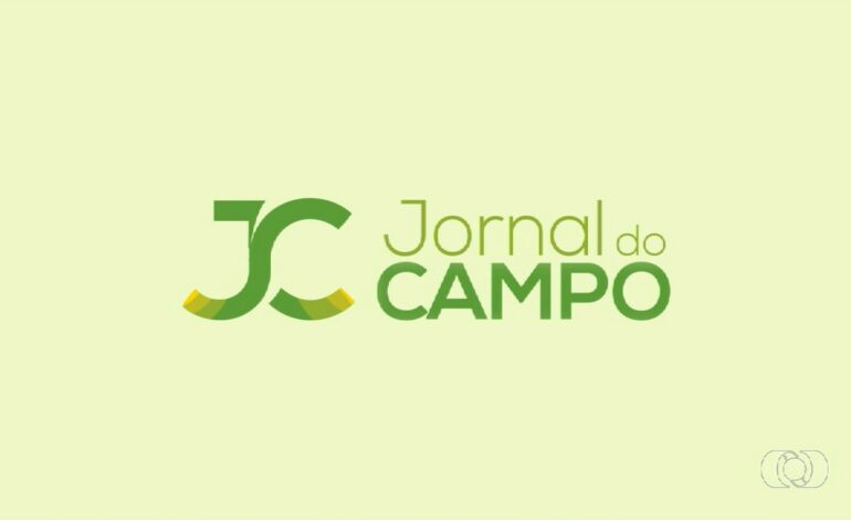 videos:-jornal-do-campo-to-de-domingo,-9-de-junho-de-2024