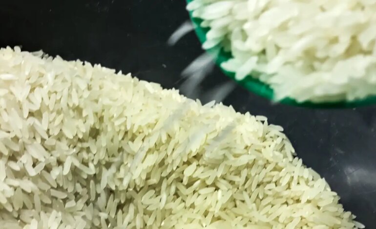 Ministro da Agricultura promete novo e mais eficiente leilão do arroz