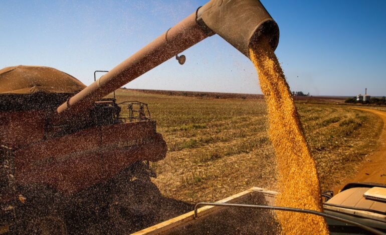 brasil-colhera-297,5-milhoes-de-toneladas-de-graos,-estima-a-conab