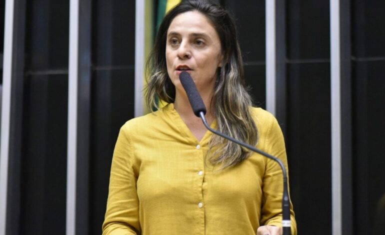 conselho-de-etica-da-camara-arquiva-acao-contra-fernanda-melchionna