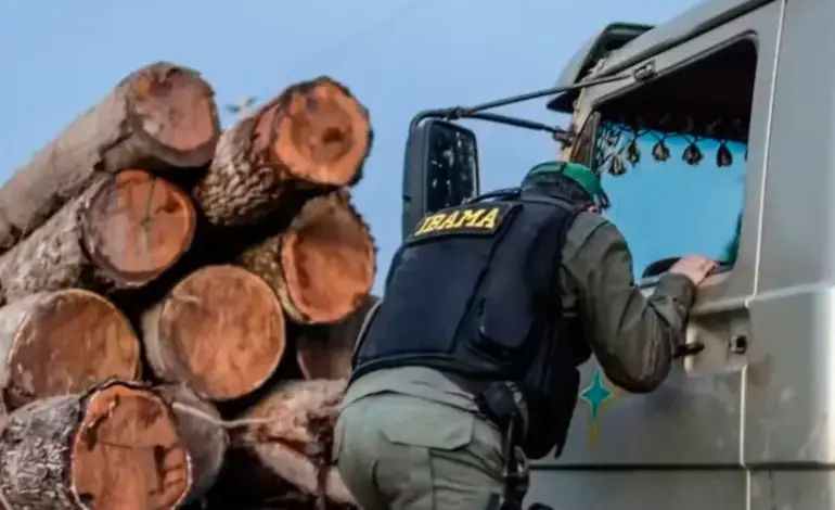 Sem acordo com o governo, servidores ambientais entram em greve geral