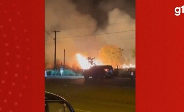 incendio-em-vegetacao-seca-ameaca-animais-e-assusta-moradores;-video