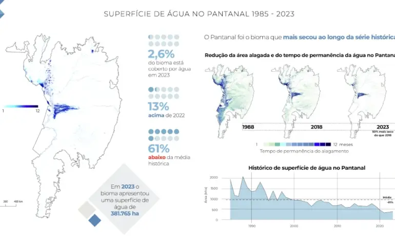 pantanal-em-chamas:-bioma-foi-o-que-mais-secou-no-brasil-desde-1985
