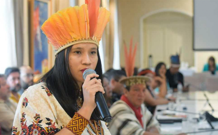 primeira-indigena-a-assumir-secretaria-dos-povos-originarios-e-tradicionais-e-exonerada