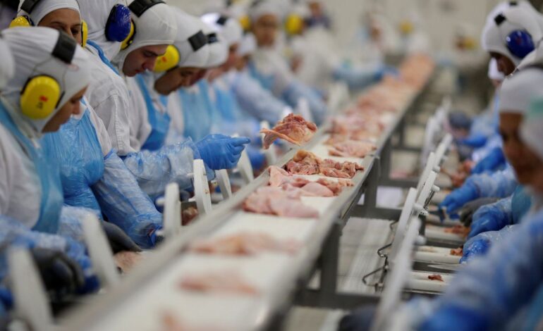 industria-de-alimentos-e-a-que-mais-emprega-no-brasil,-diz-ibge