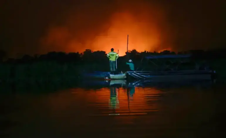 pantanal-em-chamas:-95%-do-fogo-tem-origem-em-propriedades-privadas