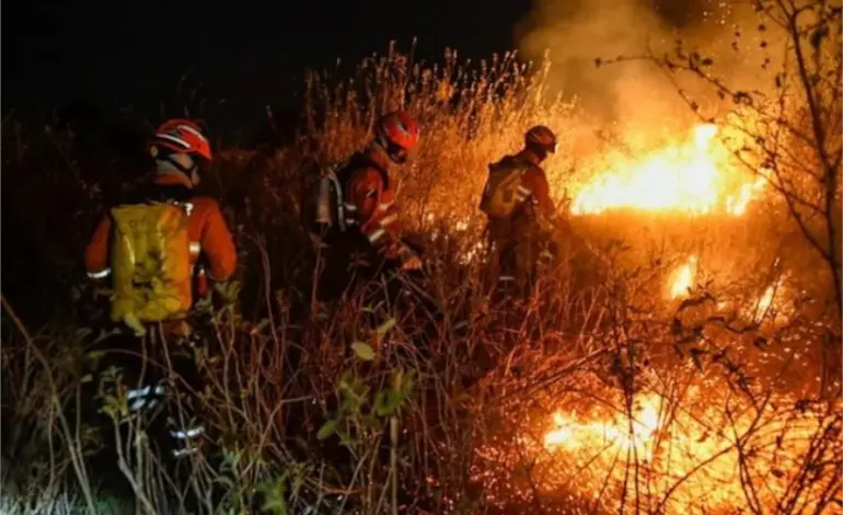 pantanal-em-chamas:-bioma-registra-1-incendio-a-cada-15-minutos-em-junho