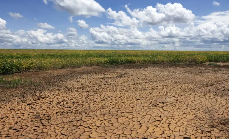 cerrado-enfrenta-a-pior-seca-em-pelo-menos-700-anos