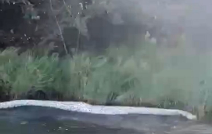 comerciante-que-encontrou-sucuri-gigante-morta-tambem-filmou-pele-de-cobra-em-lago;-video