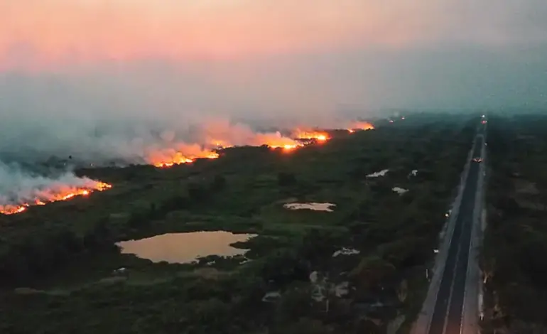pantanal-em-chamas:-incendios-podem-ter-sido-provocados-intencionalmente