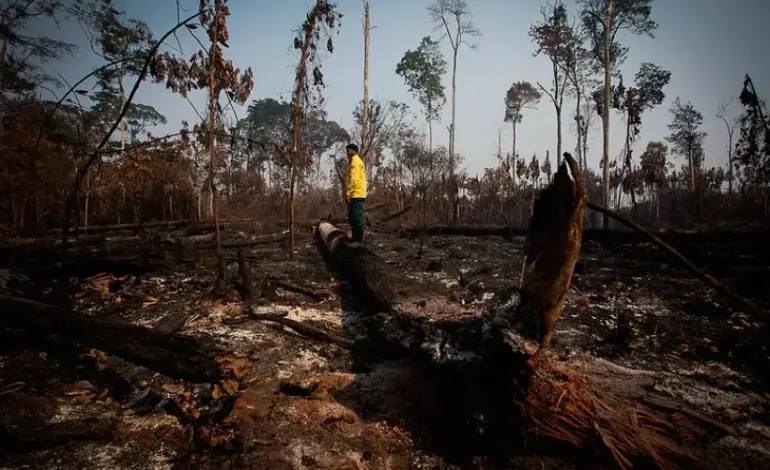 incendios-na-amazonia-batem-recorde-para-um-1o-semestre-em-20-anos