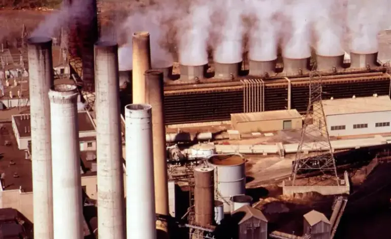 organizacoes-pedem-exclusao-de-offset-de-carbono-em-metas-climaticas-corporativas