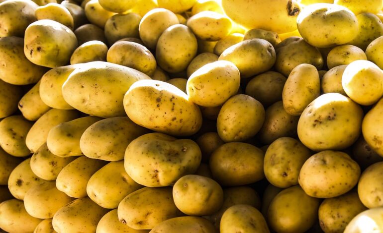 batata-inglesa-e-leite-longa-vida-puxam-inflacao-em-junho
