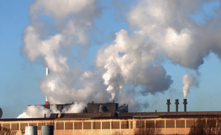 mercado-voluntario-de-carbono-no-brasil-recua-em-2023