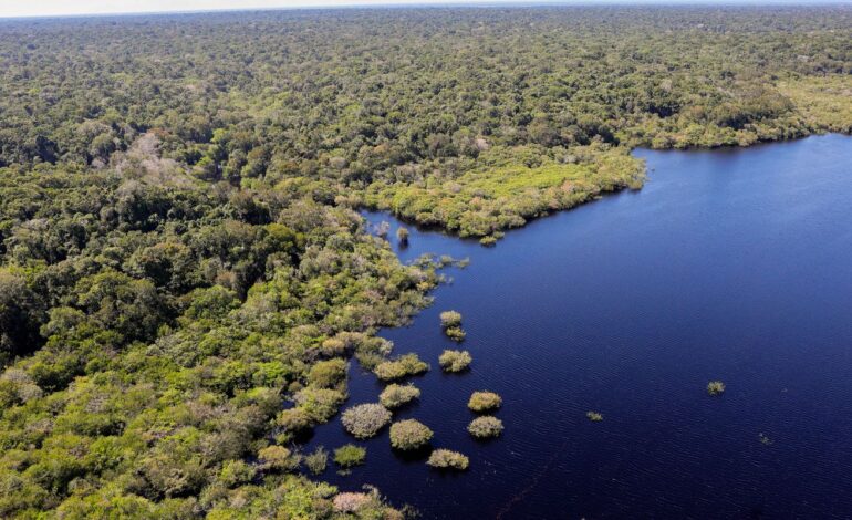 uniao-europeia-fara-doacao-de-r$-120-milhoes-ao-fundo-amazonia