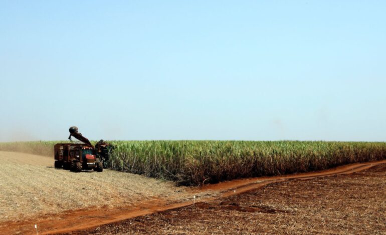 Governo libera R$ 210 milhões para o seguro rural no Rio Grande do Sul