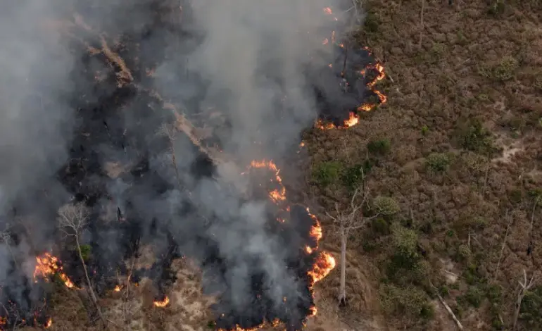 brasil-incendiado:-pais-viveu-o-pior-julho-em-registros-de-incendio-em-quase-duas-decadas