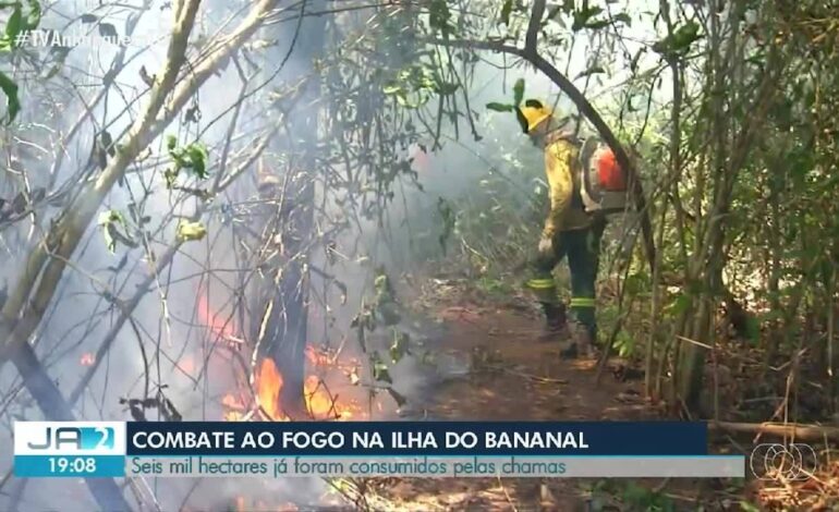 videos:-jornal-anhanguera-2a-edicao-to-de-sabado,-3-de-agosto-de-2024