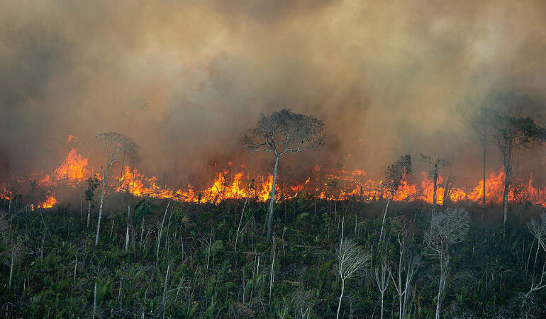 amazonia-em-chamas:-fumaca-das-queimadas-avanca-para-o-sul-do-brasil