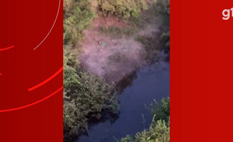 cavalo-de-idoso-que-desapareceu-em-fazenda-e-encontrado-e-buscas-continuam-com-helicoptero