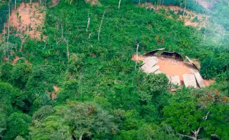 desmatamento-na-amazonia-sobe-em-julho,-mas-cai-quase-50%-no-acumulado-anual