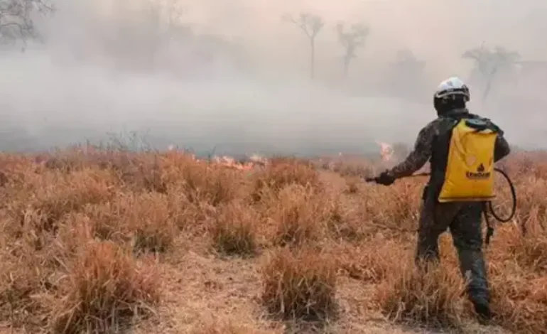 chuva-e-umidade-reduzem-focos-de-incendio-no-pantanal,-mas-fogo-subterraneo-preocupa