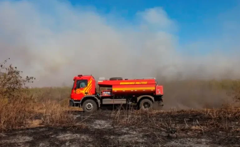 pantanal-em-chamas:-bioma-ja-contabiliza-quase-2,3-mil-focos-de-incendio-em-agosto