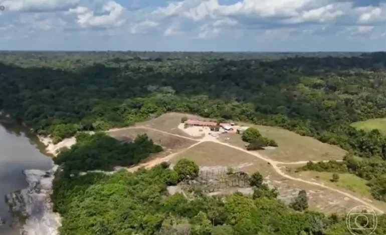 grileiro-lucra-r$-780-milhoes-com-venda-de-creditos-de-carbono-e-madeira