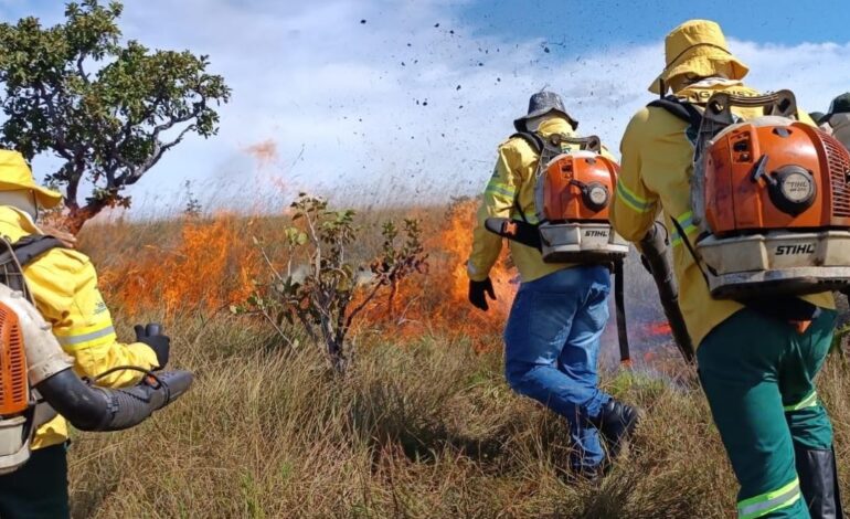 tocantins-registra-mais-de-1,6-mil-focos-de-queimadas-em-agosto,-aponta-monitoramento