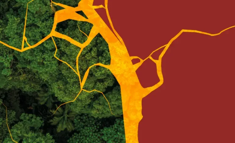 garimpo-entra-na-disputa-eleitoral-em-“cidades-do-ouro”-na-amazonia