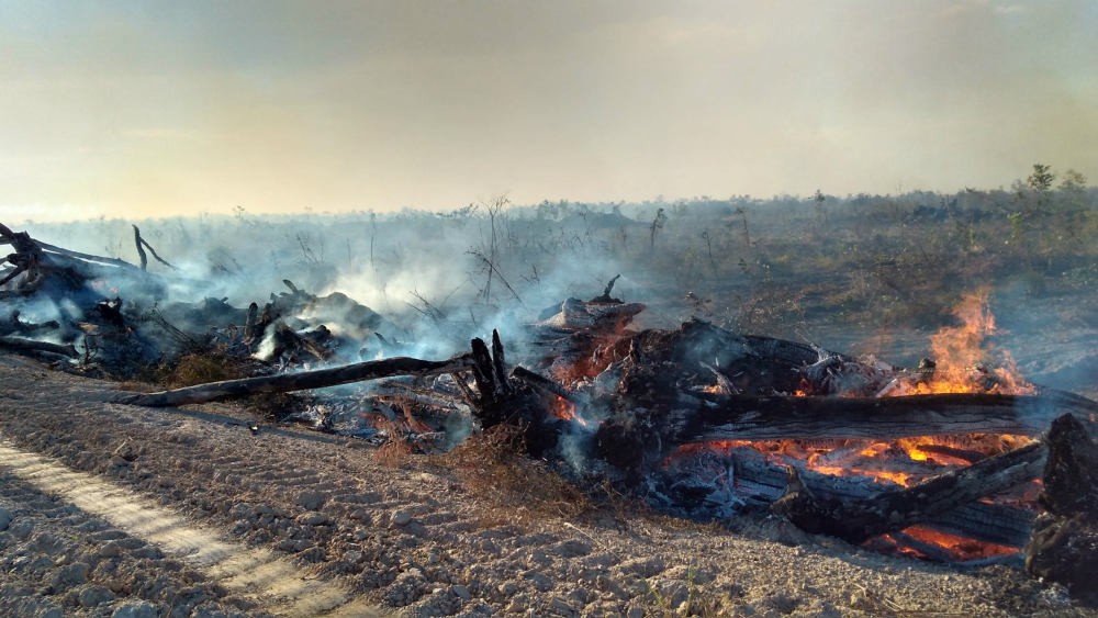 Queimadas no Tocantins mais que dobraram no mês de agosto, apontam dados do Inpe