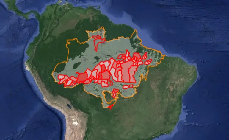 brasil-em-chamas-1:-focos-de-incendio-em-agosto-na-amazonia-atingem-maior-nivel-em-14-anos