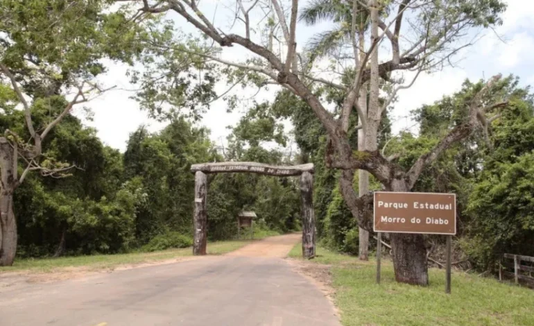 brasil-em-chamas-2:-sp-fecha-80-unidades-de-conservacao-por-alto-risco-de-incendio