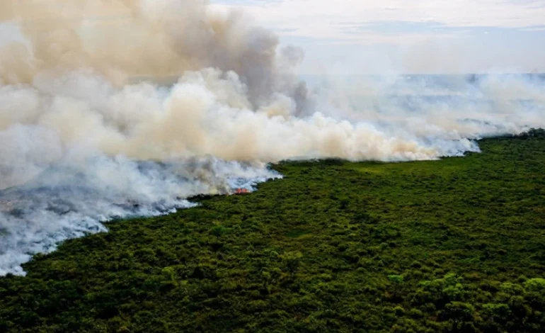 estados-da-amazonia-e-do-pantanal-batem-recorde-de-emissoes-de-carbono-por-incendios