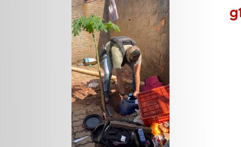 policia-encontra-10kg-de-drogas-enterradas-em-quintal-de-casa-e-jovem-e-preso