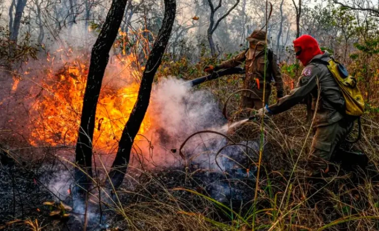 incendios-devastaram-quase-metade-do-cerrado-desde-1985
