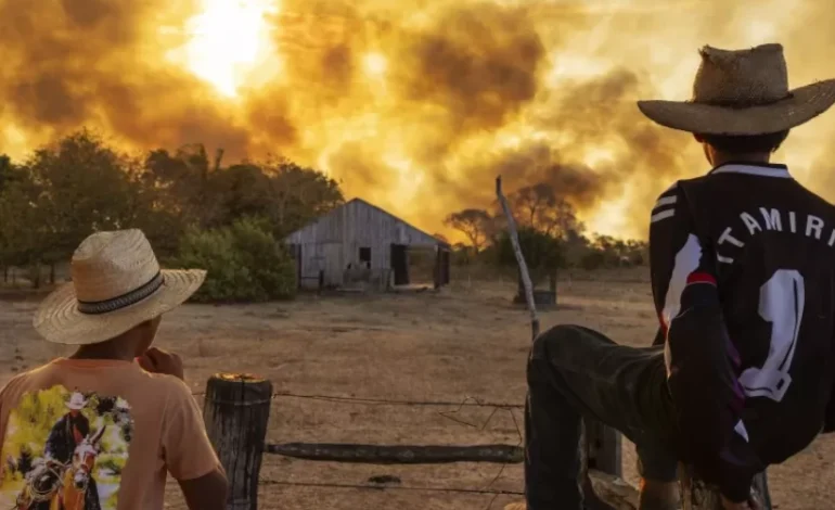 fumaca,-queimadas,-seca:-responsaveis-e-o-que-fazer