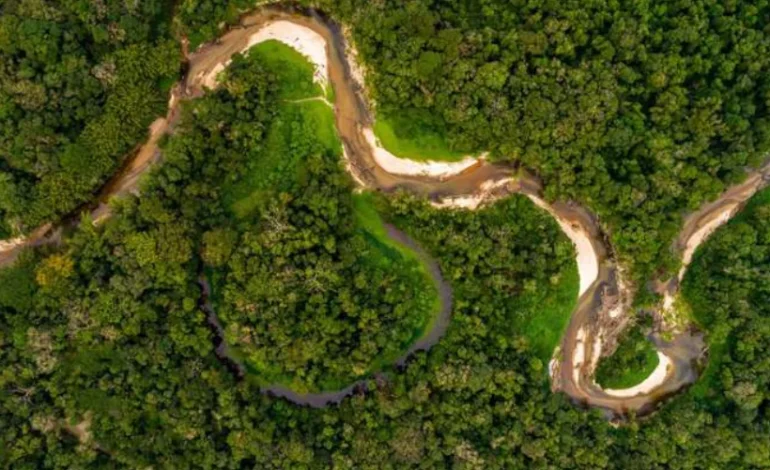 estudo-mostra-que-pelo-menos-12-grandes-rios-brasileiros-estao-secando