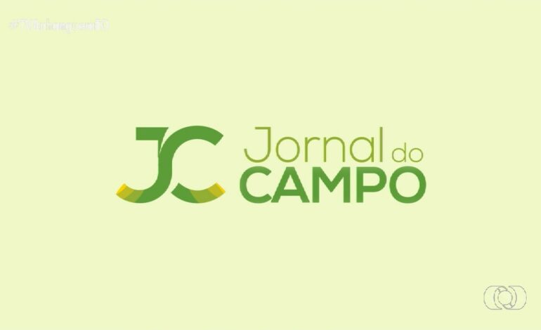 videos:-jornal-do-campo-–-to-de-domingo,-15-de-setembro-de-2024