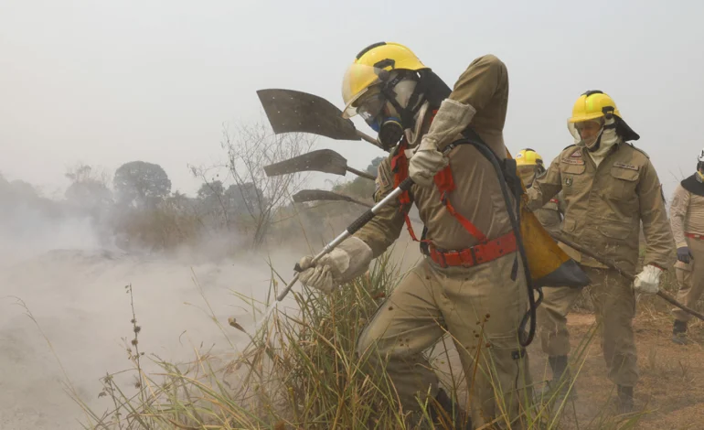 desmatamento-na-amazonia-em-agosto-e-o-menor-em-6-anos