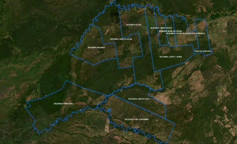 relatorio:-maior-desmatador-do-pantanal-forneceu-aos-principais-frigorificos-do-brasil