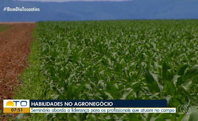 videos:-bom-dia-tocantins-de-quinta-feira,-19-de-setembro-de-2024