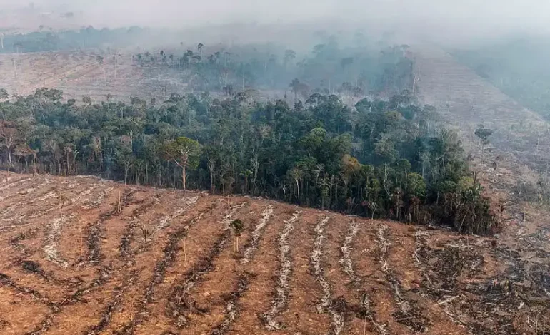 brasil-em-chamas-2:-emissoes-por-queimadas-crescem-60%-na-amazonia