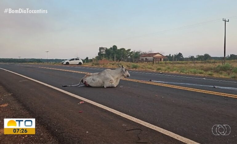 videos:-bom-dia-tocantins-de-segunda-feira,-23-de-setembro-de-2024