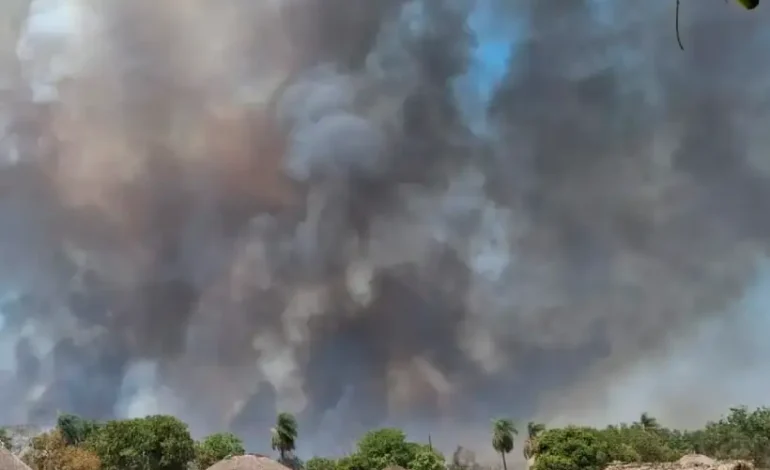 brasil-em-chamas-2:-ti-kayapo-tem-quase-20%-de-sua-area-tomada-pelo-fogo