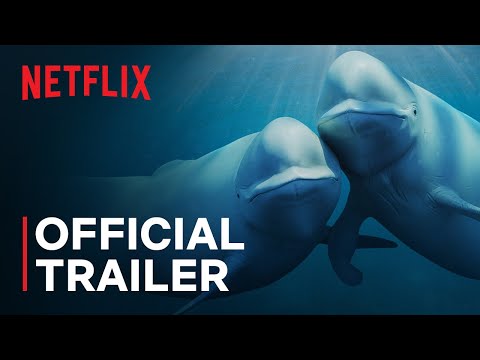 nossos-oceanos-|-barack-obama-|-trailer-oficial-|-netflix