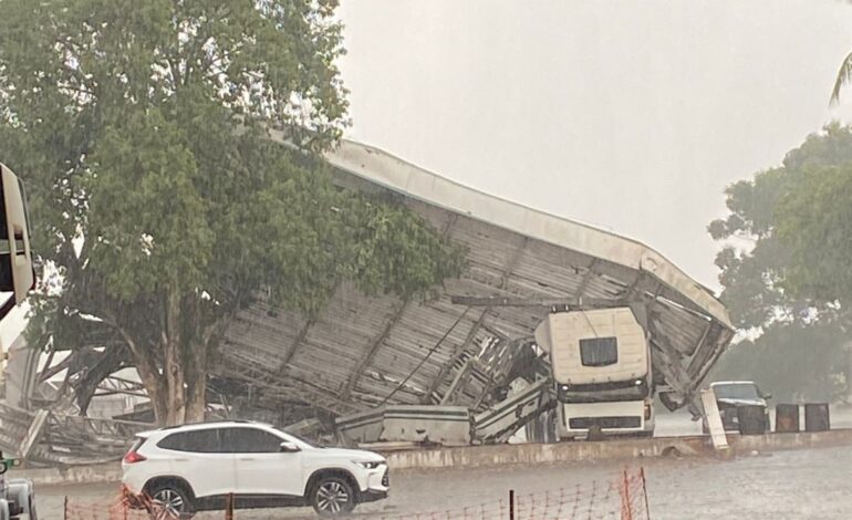 comerciante-escapa-segundos-antes-de-food-truck-ser-atingido-por-arvore-durante-temporal: